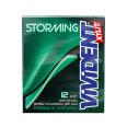 Vivident Storming Sakız Nane Aromalı 33 G